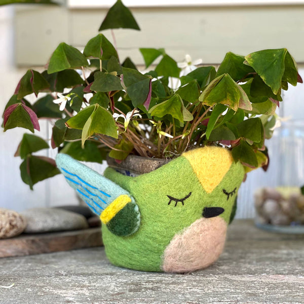 Hummingbird Felt Pot