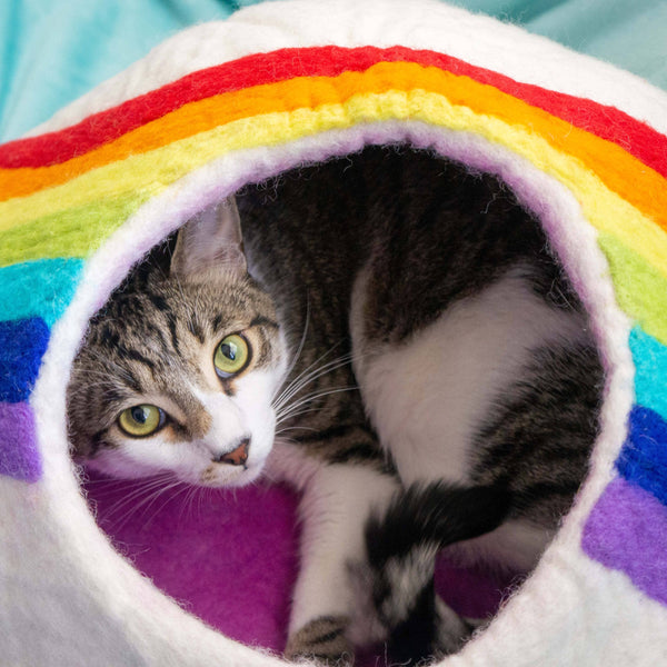 Rainbow Eco Kitty Cave