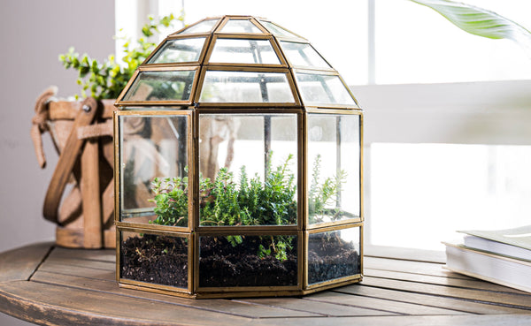Large Glass Terrarium Birdcage Handmade Planter Decor 9x10"