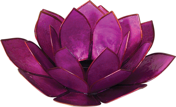 50310E - Violet Lotus Capiz Shell Tea Light Holder