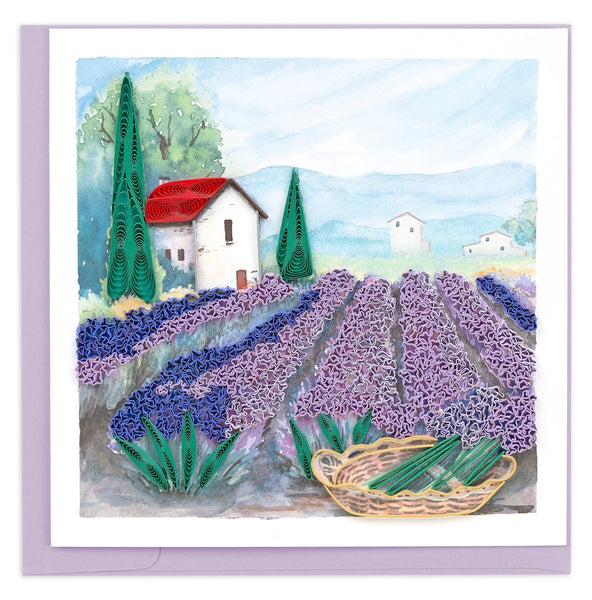 Lavender Fields