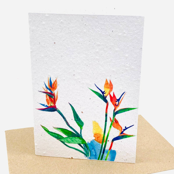 Growing Paper greeting card - Bird of Paradise