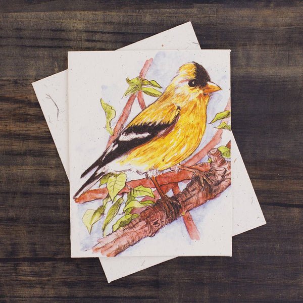 Goldfinch Watercolor Sketch Greeting Card