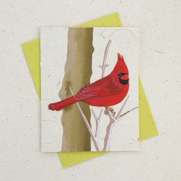 Cardinal Natural White Greeting Card