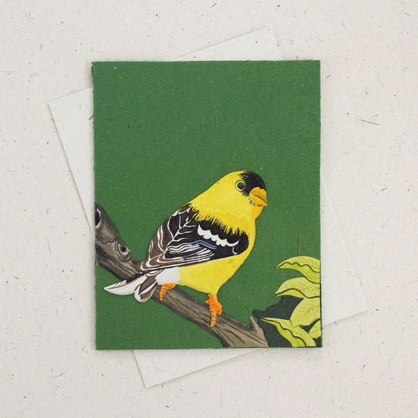Goldfinch Dark Green Greeting Card