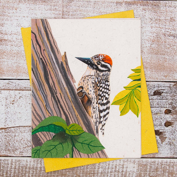 Woodpecker Natural White Greeting Card