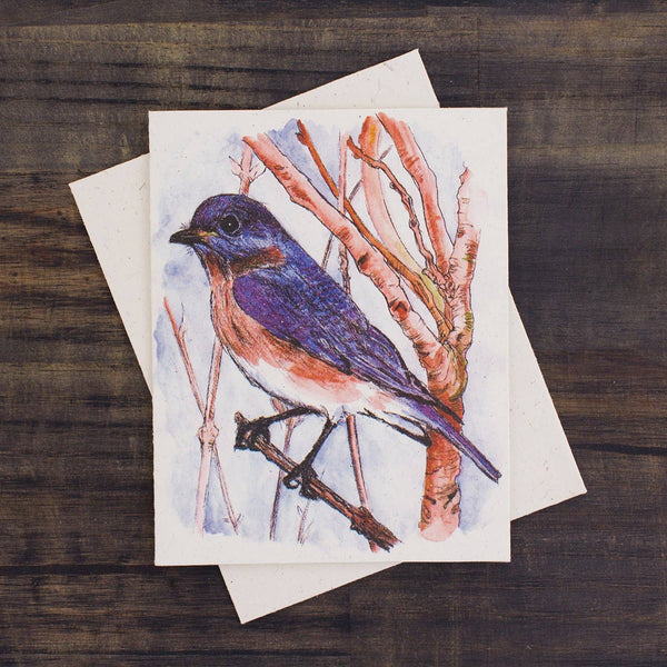 Bluebird Watercolor Sketch Greeting Card