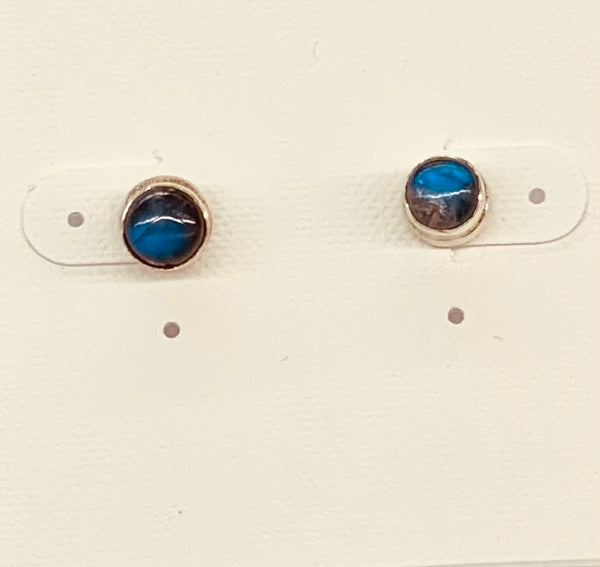 Lg Semi Precious Stud Earrings