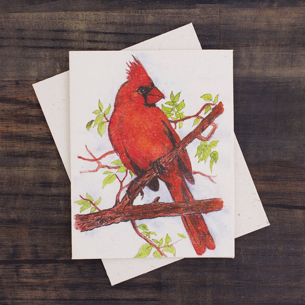Cardinal Watercolor Sketch Greeting Card