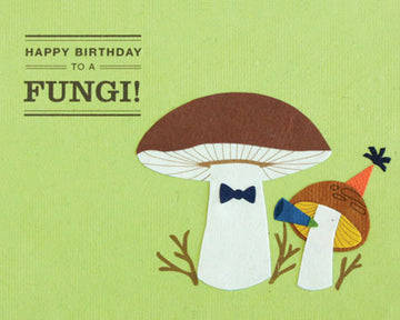 Happy Birthday to a Fungi
